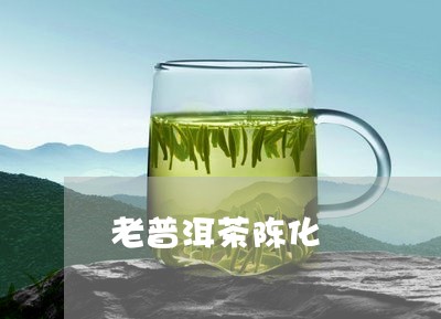 老普洱茶陈化/2023042745320