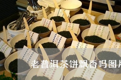 老普洱茶饼飘香吗图片高清/2023110807369