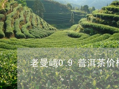 老曼峨09普洱茶价格/2023062432816