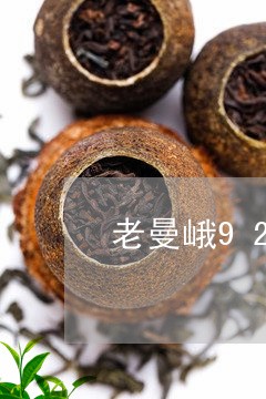 老曼峨92普洱茶方砖/2023110893159