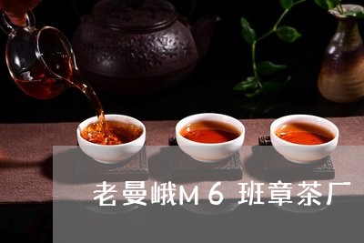 老曼峨M6班章茶厂/2023042574038