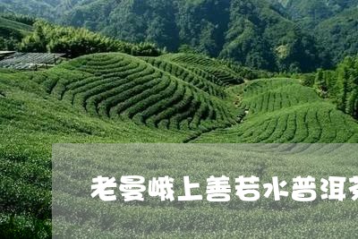 老曼峨上善若水普洱茶/2023062927369