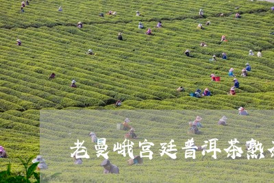 老曼峨宫廷普洱茶熟茶/2023073159460