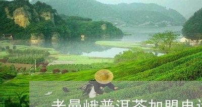 老曼峨普洱茶加盟电话/2023061455046