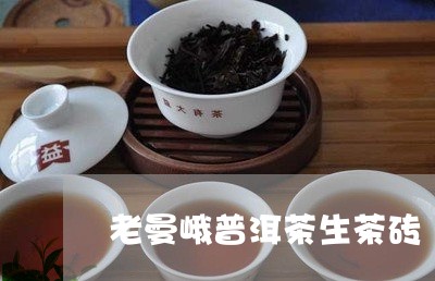 老曼峨普洱茶生茶砖/2023071018563