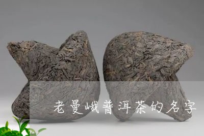 老曼峨普洱茶的名字/2023121840504