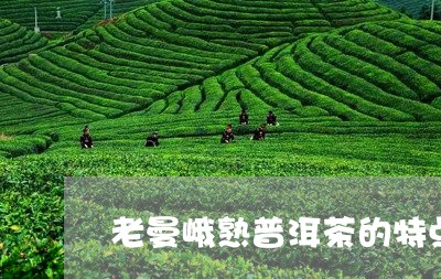 老曼峨熟普洱茶的特点/2023061793269