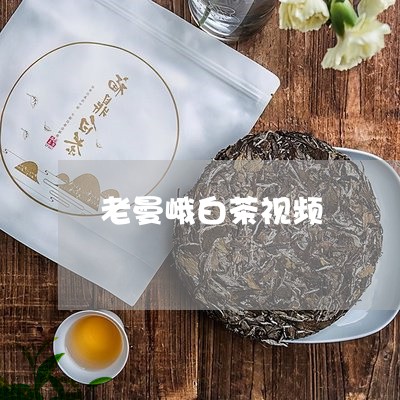 老曼峨白茶视频/2023060914149