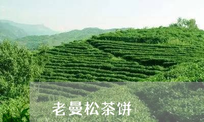 老曼松茶饼/2023090292704