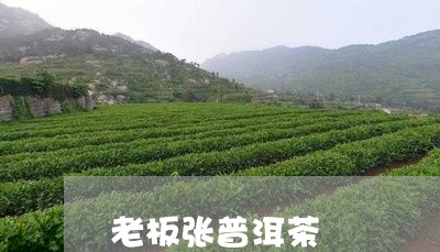 老板张普洱茶/2023042818052