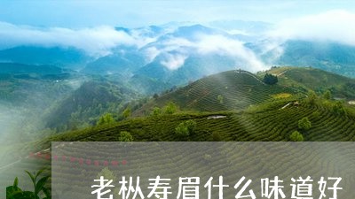 老枞寿眉什么味道好/2023120440603