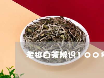 老枞白茶辨识100例/2023092791807