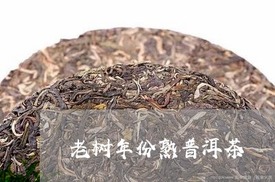 老树年份熟普洱茶/2023101624038