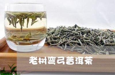 老树弯弓普洱茶/2023102669595