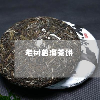 老树普洱茶饼/2023042640617