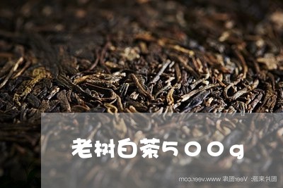 老树白茶500g/2023111507403