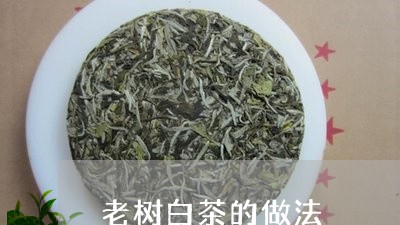 老树白茶的做法/2023060945938