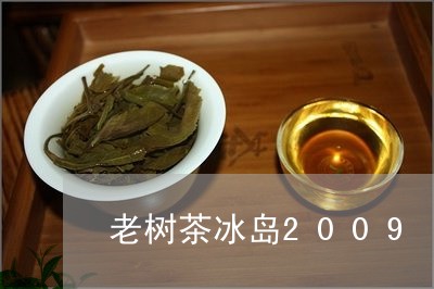 老树茶冰岛2009/2023042580583