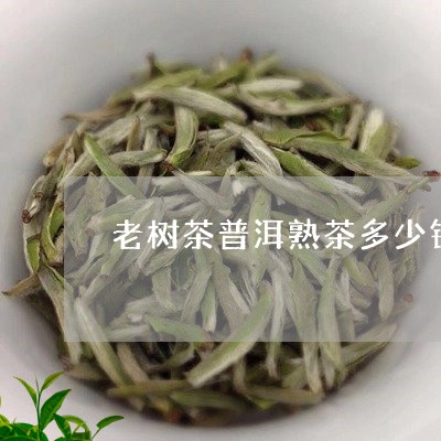 老树茶普洱熟茶多少钱/2023092413937