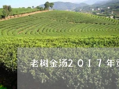 老树金汤2017年贡眉/2023092540483