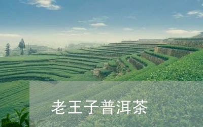 老王子普洱茶/2023042803389