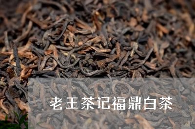 老王茶记福鼎白茶/2023070704058