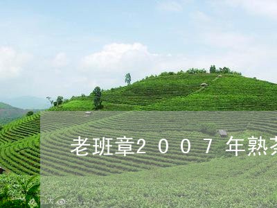 老班章2007年熟茶/2023061253960