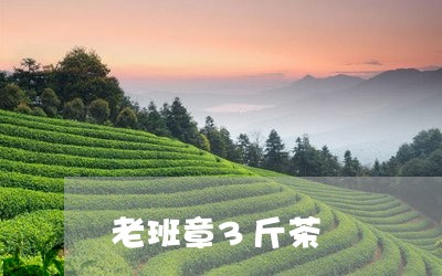 老班章3斤茶/2023090734048