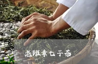 老班章七子茶/2023090741514