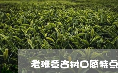 老班章古树口感特点/2023042856269