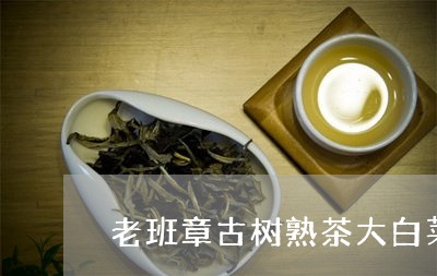 老班章古树熟茶大白菜/2023061220592