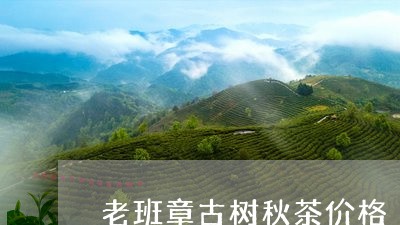 老班章古树秋茶价格/2023042730592