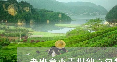 老班章小青柑独立包装/2023061241506