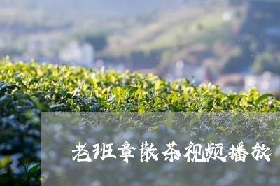 老班章散茶视频播放/2023042822938