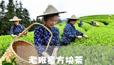 老班章方块茶/2023090767258