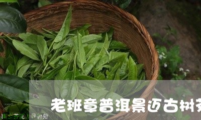 老班章普洱景迈古树茶/2023092443694