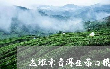 老班章普洱生茶口粮/2023042041815