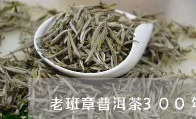 老班章普洱茶300年古树/2023121858473