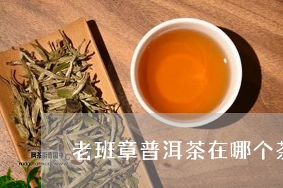 老班章普洱茶在哪个茶区/2023050538305