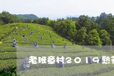 老班章村2019熟茶/2023092424038