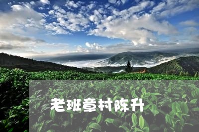 老班章村陈升/2023090727247