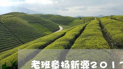 老班章杨新源2017/2023092460583