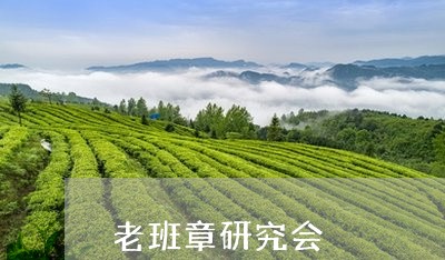 老班章研究会/2023090701594