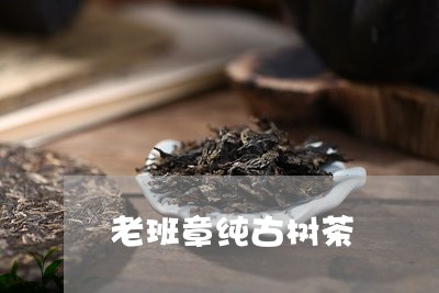 老班章纯古树茶/2023102562105