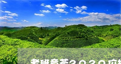 老班章茶2020价格/2023092451592