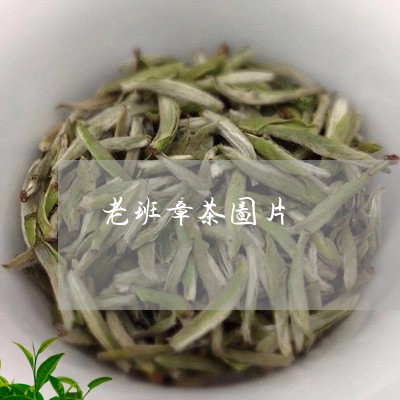 老班章茶图片/2023090768593