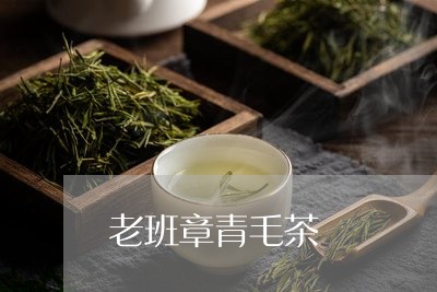 老班章青毛茶/2023090792846