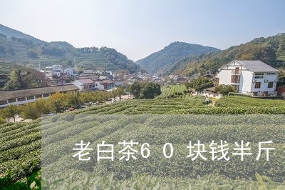 老白茶60块钱半斤/2023121588371