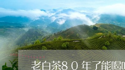 老白茶80年了能喝吗/2023092708350