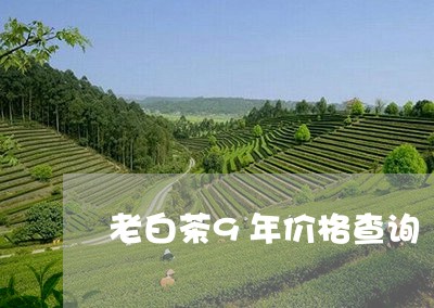 老白茶9年价格查询/2023071334937